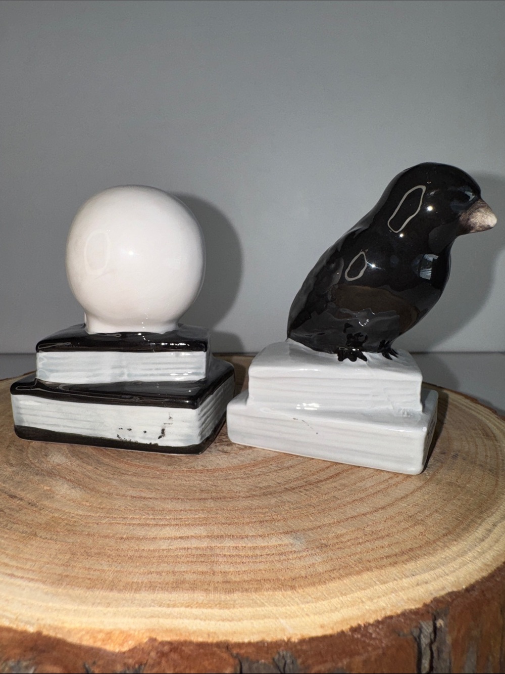Spooky Ceramic Salt & Pepper Shakers - Skull & Black Crow on Books Halloween - Picture 2 of 4